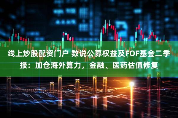 线上炒股配资门户 数说公募权益及FOF基金二季报：加仓海外算力，金融、医药估值修复